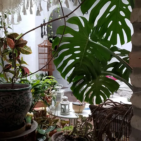 La Casa De Bovedas Charming 4* Arcos de la Frontera